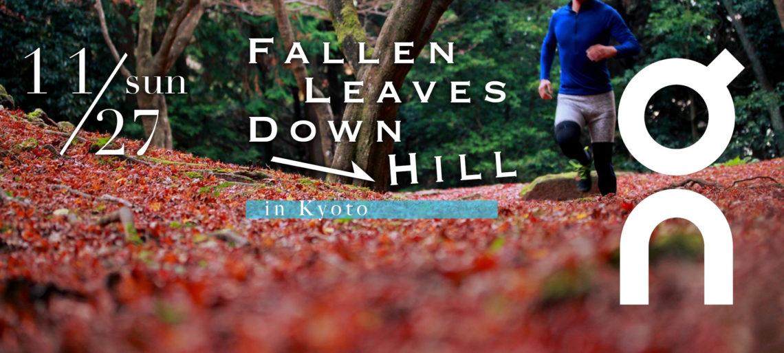 Fallen Leaves Down Hill Trail